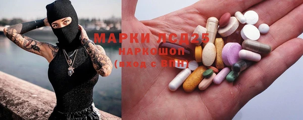 индика Дмитровск