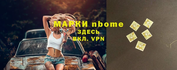 хмурый Дмитров