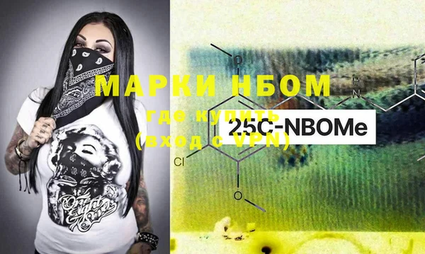 хмурый Дмитров