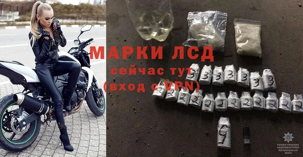 хмурый Дмитров
