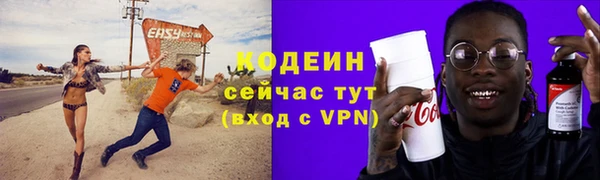 хмурый Дмитров