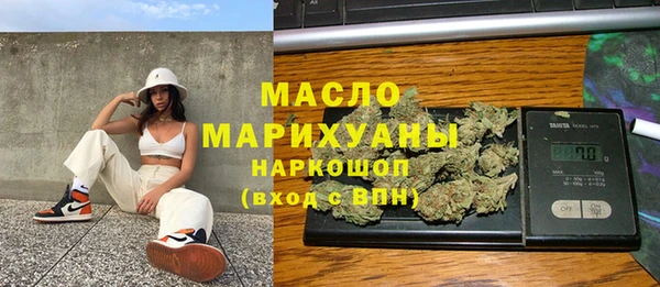 индика Дмитровск