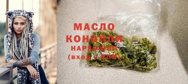 индика Дмитровск