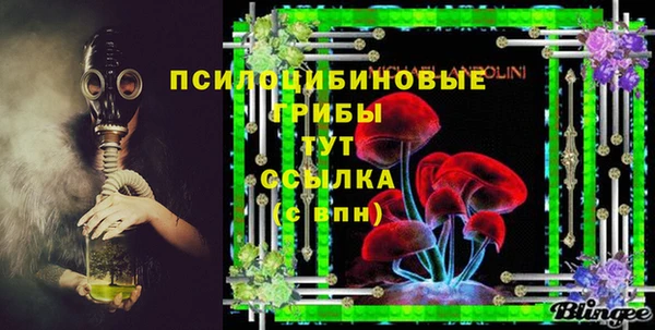 амф Дмитриев