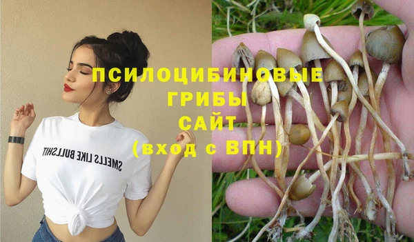 индика Дмитровск