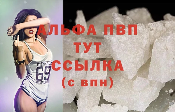 индика Дмитровск