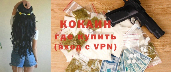 хмурый Дмитров
