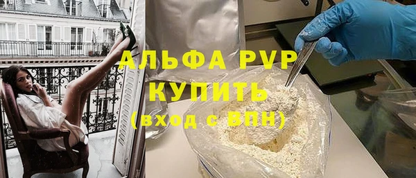 индика Дмитровск