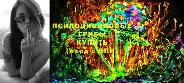 хмурый Дмитров
