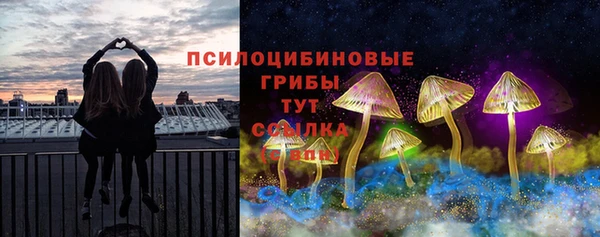 амф Дмитриев