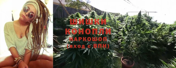 индика Дмитровск