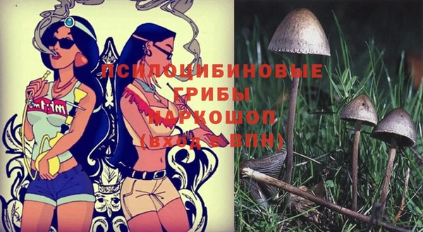 индика Дмитровск