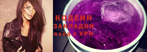 индика Дмитровск