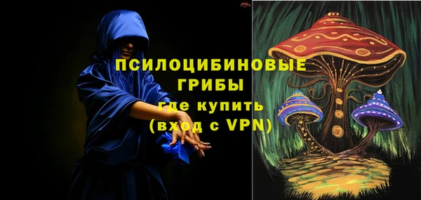 хмурый Дмитров