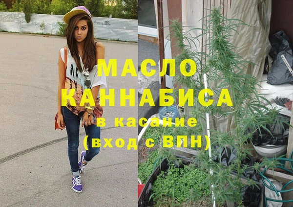 индика Дмитровск