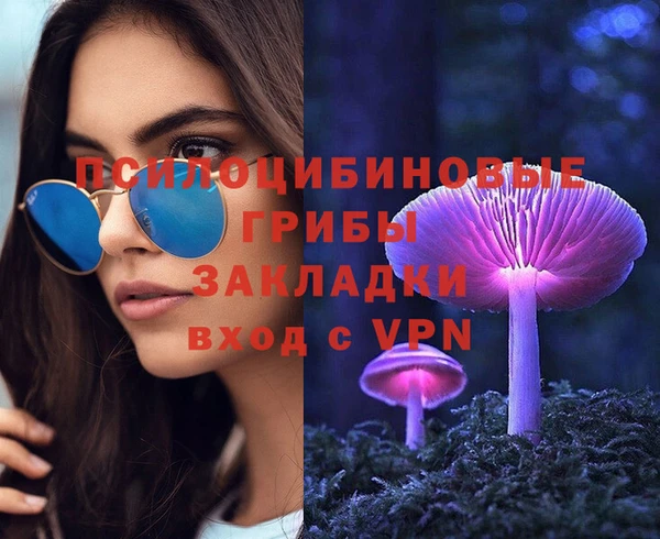 амф Дмитриев