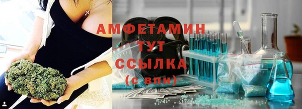 индика Дмитровск