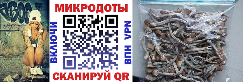 Купить закладки  Ворсма  Галлюциногенные грибы Psilocybe 